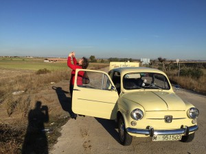 Haciendole fotos a los pájaros mientras el motor se enfría